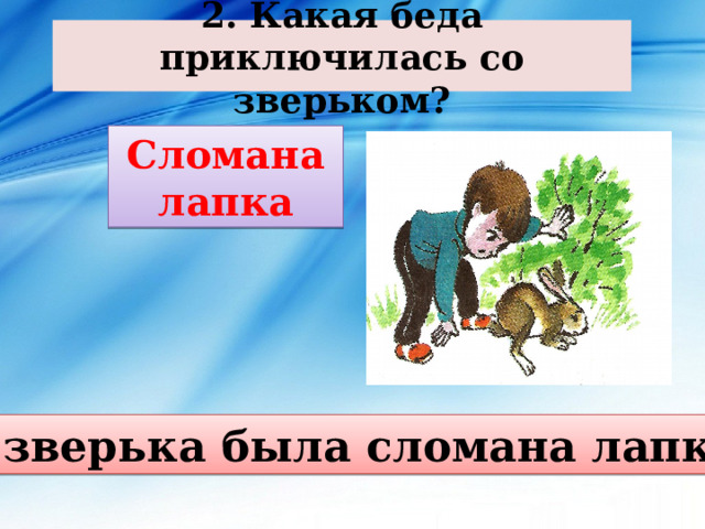 2. Какая беда приключилась со зверьком? Сломана лапка У зверька была сломана лапка. 