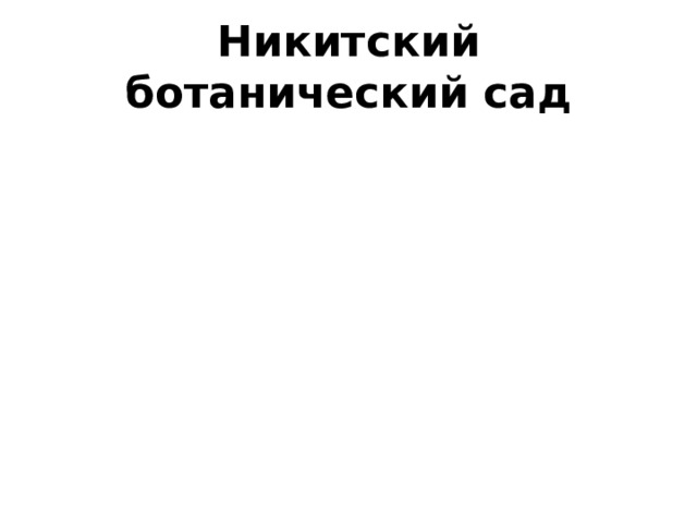 Никитский ботанический сад 