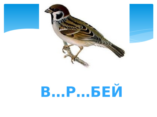 В…р…бей 