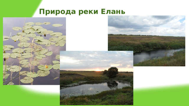 Природа реки Елань 