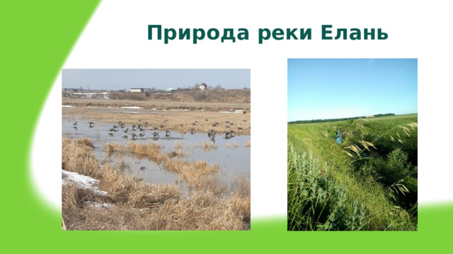 Природа реки Елань 