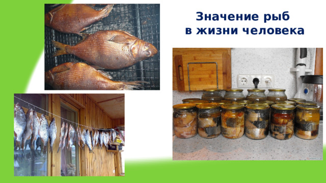 Значение рыб  в жизни человека 