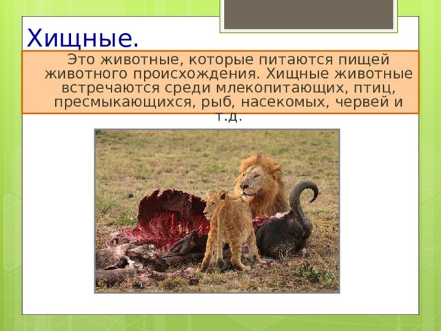 Хищные.  Это животные, которые питаются пищей животного происхождения. Хищные животные встречаются среди млекопитающих, птиц, пресмыкающихся, рыб, насекомых, червей и т.д. 