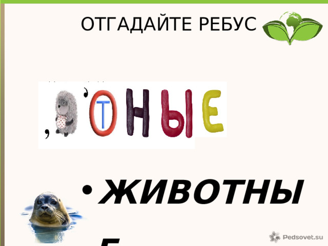 ОТГАДАЙТЕ РЕБУС ЖИВОТНЫЕ 