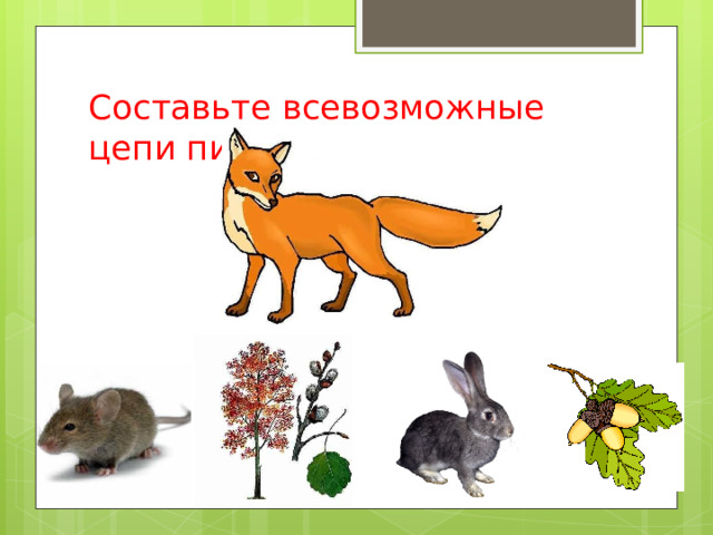 Составьте всевозможные цепи питания лисицы. 