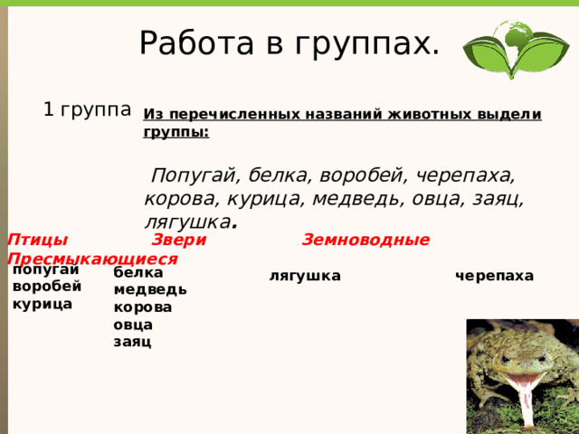 Работа в группах. 1 группа Из перечисленных названий животных выдели группы:   Попугай, белка, воробей, черепаха, корова, курица, медведь, овца, заяц, лягушка . Птицы Звери Земноводные Пресмыкающиеся   попугай воробей курица белка медведь корова овца заяц лягушка черепаха 