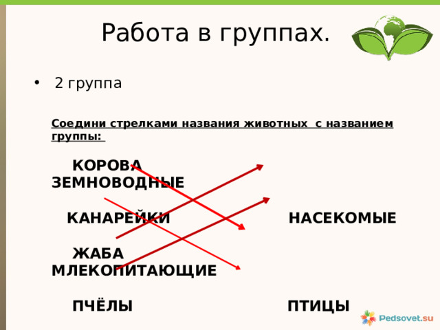 Работа в группах. 2 группа Соедини стрелками названия животных с названием группы:    КОРОВА ЗЕМНОВОДНЫЕ   КАНАРЕЙКИ НАСЕКОМЫЕ    ЖАБА МЛЕКОПИТАЮЩИЕ    ПЧЁЛЫ ПТИЦЫ 
