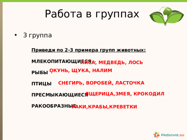 Работа в группах 3 группа Приведи по 2-3 примера групп животных:   МЛЕКОПИТАЮЩИЕСЯ -   РЫБЫ -   ПТИЦЫ   ПРЕСМЫКАЮЩИЕСЯ -   РАКООБРАЗНЫЕ - ЛИСА, МЕДВЕДЬ, ЛОСЬ ОКУНЬ, ЩУКА, НАЛИМ - СНЕГИРЬ, ВОРОБЕЙ, ЛАСТОЧКА ЯЩЕРИЦА,ЗМЕЯ, КРОКОДИЛ РАКИ,КРАБЫ,КРЕВЕТКИ 