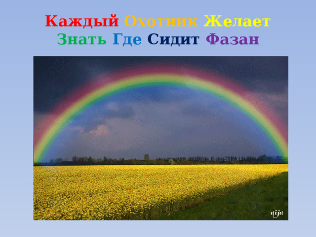 Каждый Охотник  Желает  Знать Где Сидит Фазан 
