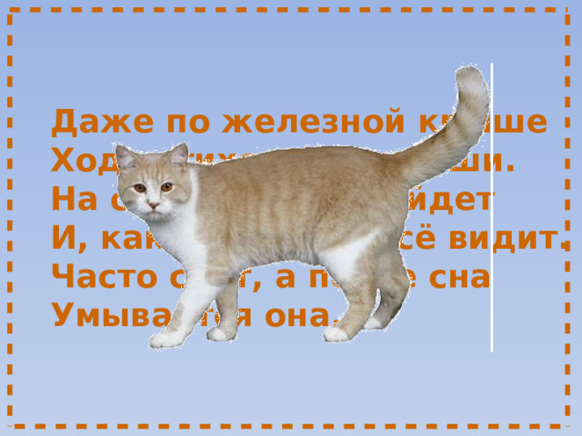 Даже по железной крыше  Ходит тихо, тише мыши.  На охоту ночью выйдет  И, как днём, она всё видит.  Часто спит, а после сна  Умывается она. 