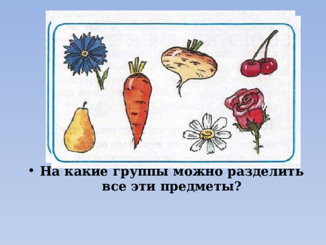На какие группы можно разделить все эти предметы? 