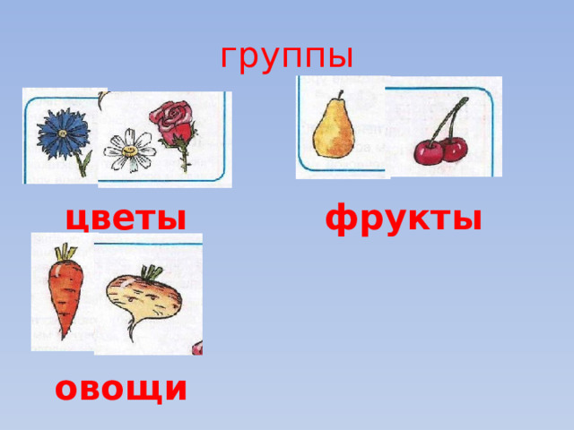 группы цветы фрукты овощи 