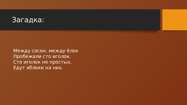 Загадка: Между сосен, между ёлок  Пробежали сто иголок.  Сто иголок не простых,  Едут яблоки на них. 