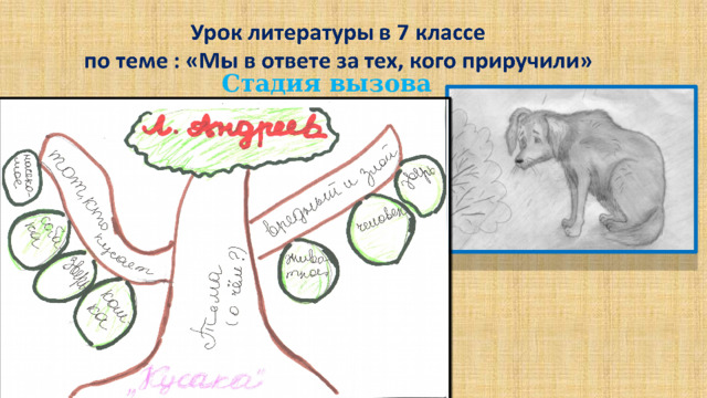 Стадия вызова 