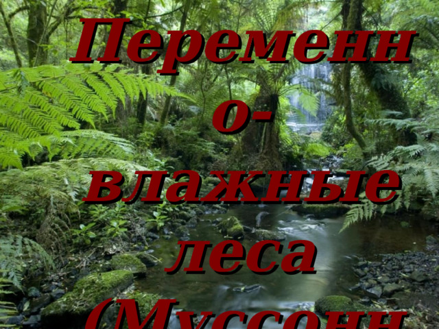 Переменно-влажные  леса (Муссонные) 
