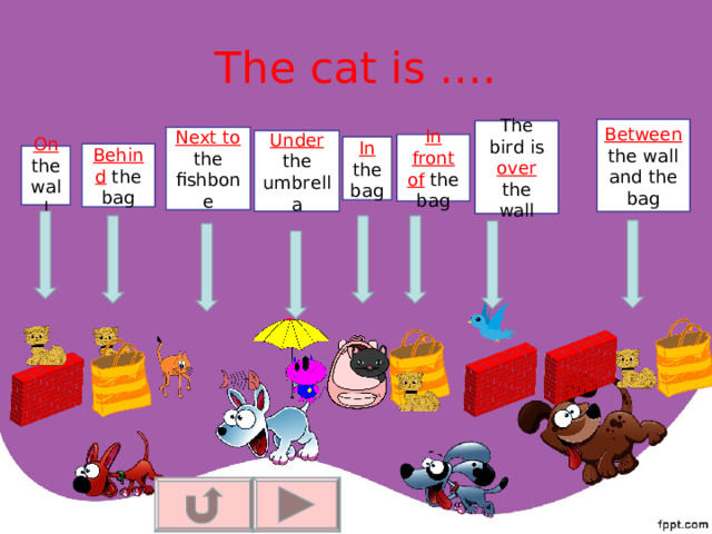 The cat is …. Between the wall and the bag The bird is over the wall Next to the fishbone Under the umbrella In front of the bag In the bag Behind the bag On the wall 