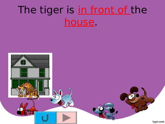 The tiger is in front of the house . 