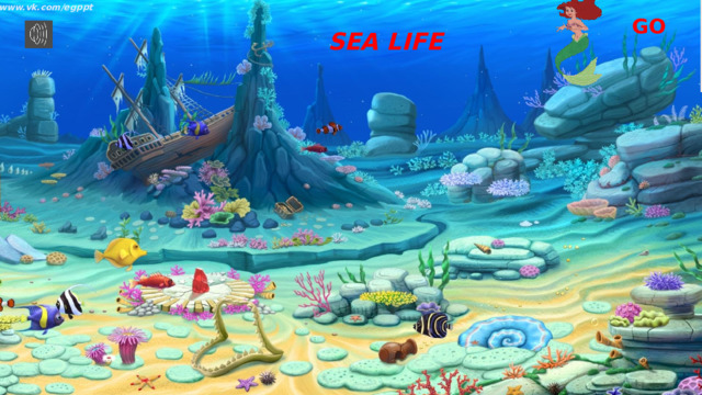 www.vk.com/egppt  GO SEA LIFE 