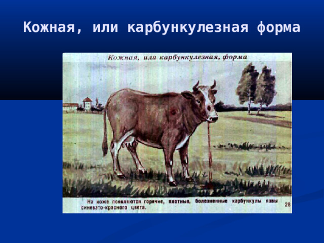 Кожная, или карбункулезная форма 