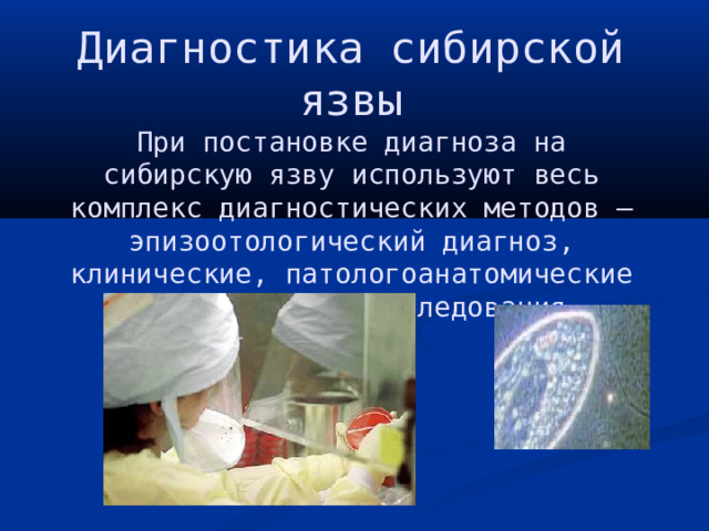 Диагностика сибирской язвы  При постановке диагноза на сибирскую язву используют весь комплекс диагностических методов – эпизоотологический диагноз, клинические, патологоанатомические и лабораторные исследования. 