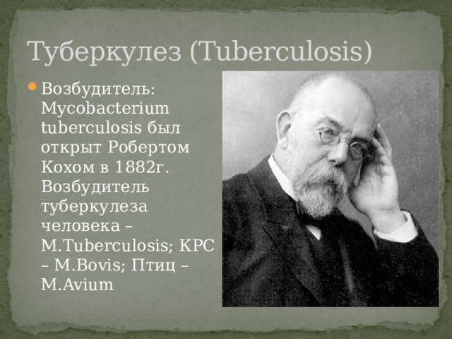 Туберкулез (Tuberculosis) Возбудитель: Mycobacterium tuberculosis был открыт Робертом Кохом в 1882г. Возбудитель туберкулеза человека – M.Tuberculosis; КРС – M.Bovis; Птиц – M.Avium 