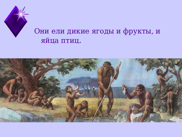 Они ели дикие ягоды и фрукты, и яйца птиц .  