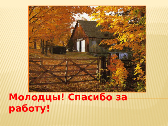 Молодцы! Спасибо за работу! 