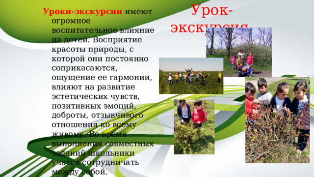 Уроки-экскурсии  имеют огромное воспитательное влияние на детей. Восприятие красоты природы, с которой они постоянно соприкасаются, ощущение ее гармонии, влияют на развитие эстетических чувств, позитивных эмоций, доброты, отзывчивого отношения ко всему живому. Во время выполнения совместных заданий школьники учатся сотрудничать между собой. Урок-экскурсия  