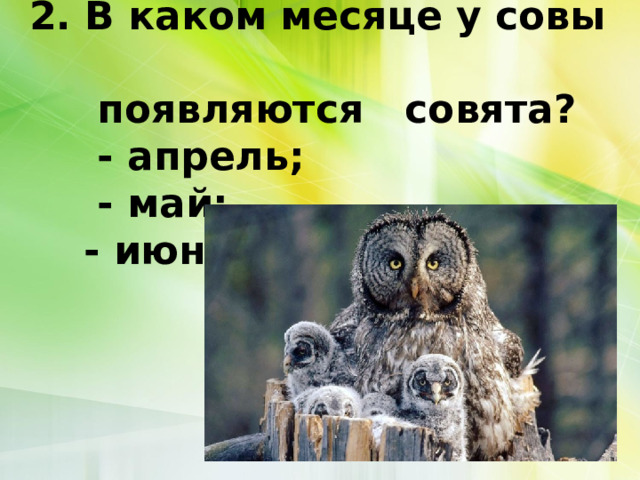 2. В каком месяце у совы  появляются совята?       - апрель;       - май;      - июнь.   