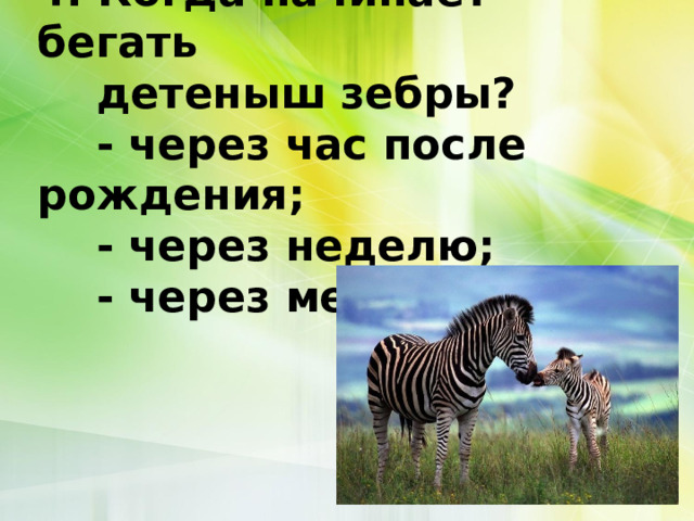 4. Когда начинает бегать  детеныш зебры?      - через час после рождения;      - через неделю;      - через месяц.   