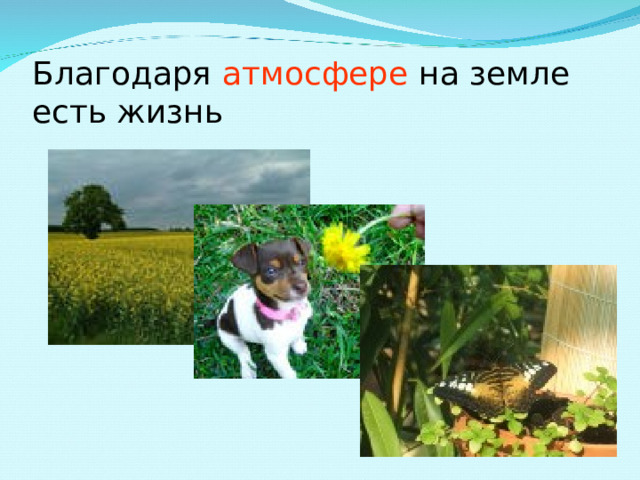 Благодаря атмосфере на земле есть жизнь 