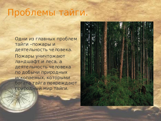 Проблемы тайги. Одни из главных проблем тайги –пожары и деятельность человека. Пожары уничтожают ландшафт и леса, а деятельность человека по добычи природных ископаемых, которыми богата тайга повреждают природный мир тайги. 