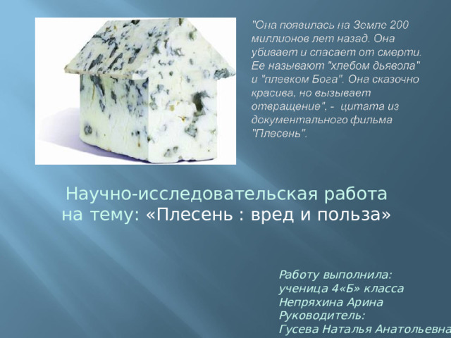 Научно-исследовательская работа на тему: «Плесень : вред и польза» Работу выполнила: ученица 4«Б» класса Непряхина Арина Руководитель: Гусева Наталья Анатольевна 
