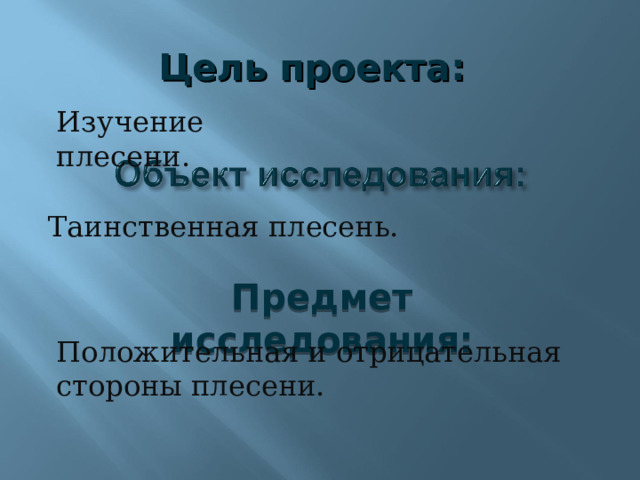 Цель проекта: Изучение плесени. Таинственная плесень. Предмет исследования: Положительная и отрицательная стороны плесени. 