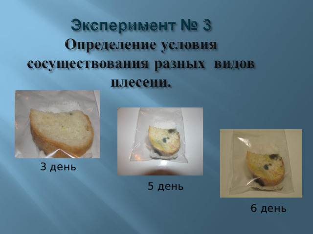 3 день 5 день 6 день 