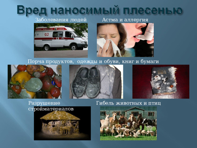 Астма и аллергия Заболевания людей Порча продуктов, одежды и обуви, книг и бумаги Разрушение стройматериалов Гибель животных и птиц 