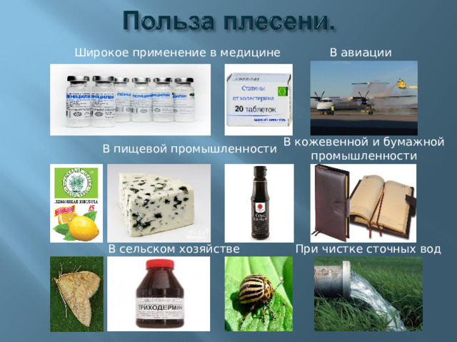 Широкое применение в медицине В авиации В кожевенной и бумажной  промышленности В пищевой промышленности В сельском хозяйстве При чистке сточных вод 