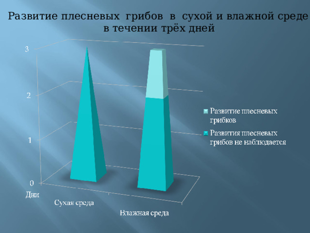  Развитие плесневых грибов в сухой и влажной среде в течении трёх дней 
