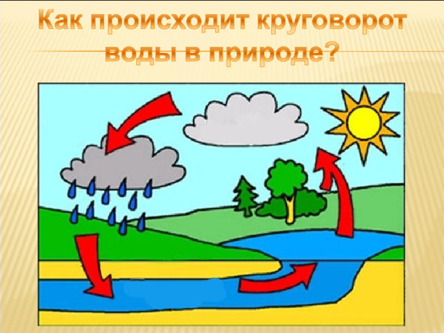 Использование документ-камеры.  