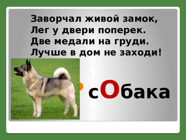Заворчал живой замок,  Лег у двери поперек.  Две медали на груди.  Лучше в дом не заходи! с О бака 