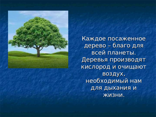 Каждое посаженное дерево – благо для всей планеты. Деревья производят кислород и очищают воздух, необходимый нам для дыхания и жизни. 