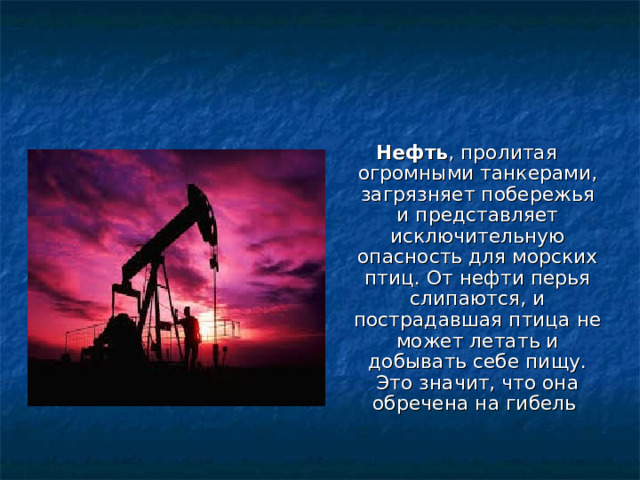 Нефть , пролитая огромными танкерами, загрязняет побережья и представляет исключительную опасность для морских птиц. От нефти перья слипаются, и пострадавшая птица не может летать и добывать себе пищу. Это значит, что она обречена на гибель 