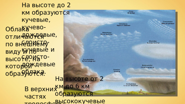 На высоте до 2 км образуются кучевые, кучево-дождевые, слоисто-кучевые и слоисто-дождевые облака. Облака отличаются по внешнему виду и по высоте, на которой образуются. На высоте от 2 км до 6 км образуются высококучевые и перисто-слоистые облака. В верхних частях тропосферы образуются перистые облака. 