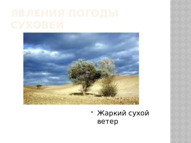 Явления погоды  Суховей Жаркий сухой ветер 