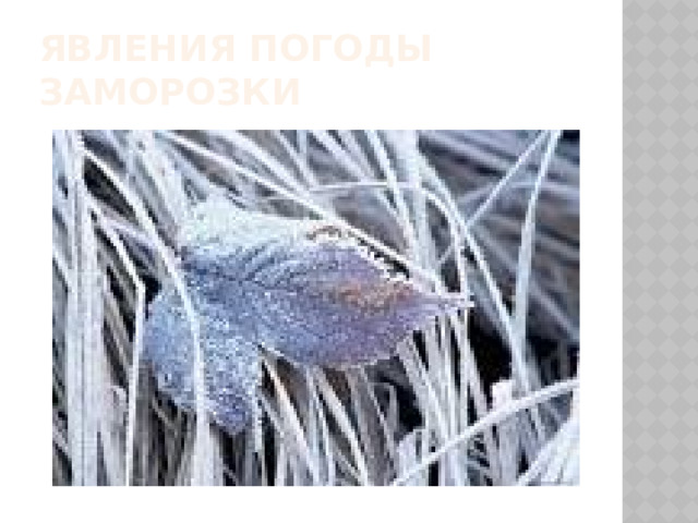 Явления погоды  заморозки 