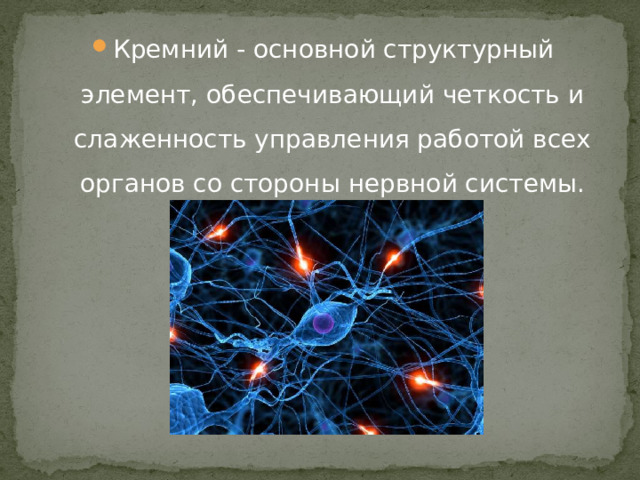 Кремний - основной структурный элемент, обеспечивающий четкость и слаженность управления работой всех органов со стороны нервной системы. 