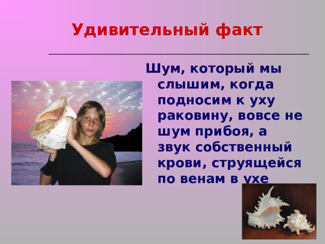 Удивительный факт Шум, который мы слышим, когда подносим к уху раковину, вовсе не шум прибоя, а звук собственный крови, струящейся по венам в ухе 