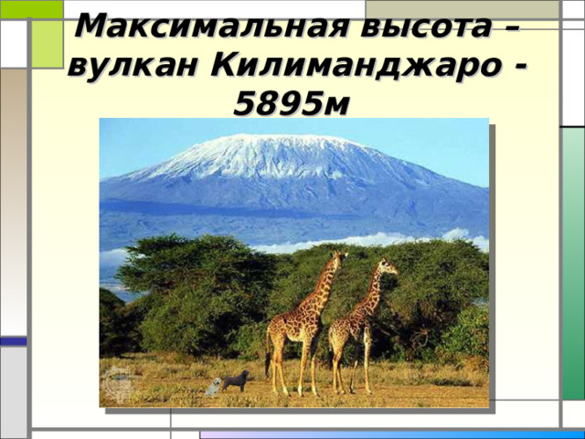 Максимальная высота – вулкан Килиманджаро - 5895м 