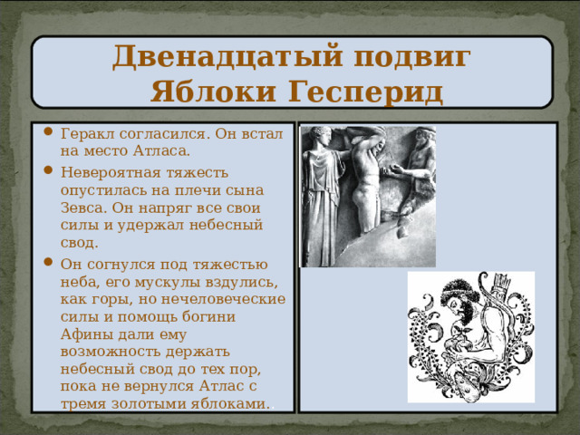 Двенадцатый подвиг  Яблоки Гесперид Геракл согласился. Он встал на место Атласа. Невероятная тяжесть опустилась на плечи сына Зевса. Он напряг все свои силы и удержал небесный свод. Он согнулся под тяжестью неба, его мускулы вздулись, как горы, но нечеловеческие силы и помощь богини Афины дали ему возможность держать небесный свод до тех пор, пока не вернулся Атлас с тремя золотыми яблоками. . 