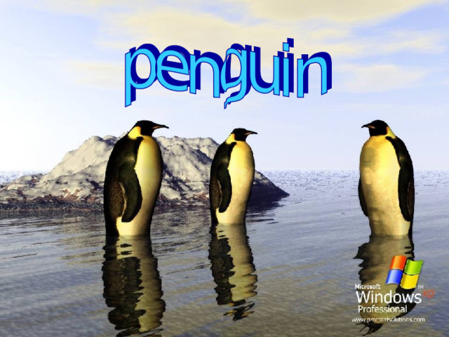 It is a wild animal. It is black and white. It lives in Arctic. It has got short legs. It can jump and swim well.  